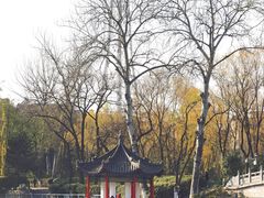-莲湖公园