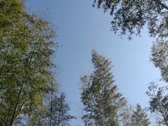 -明月山风景名胜区