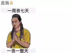 -维也纳国际酒店·西安大雁塔大唐不夜城店