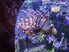 -太平洋海底世界