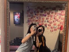 -Mr.Fox狐狸先生超级密室(南山店)