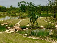 -上海长兴岛郊野公园