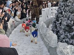 -哈尔滨波塞冬海底世界