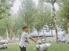 -九十九顶毡房(阜石路店)