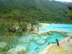 -黄龙山原始森林景区