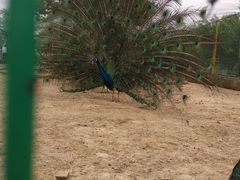 -武汉紫薇都市田园