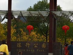 -陈行公园