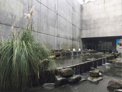 门面-中国湿地博物馆