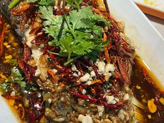 -杨氏青龙虾·羊蝎子(金盛路总店)