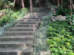 -仙岳公园