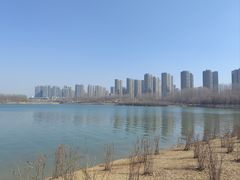 -丁香湖公园
