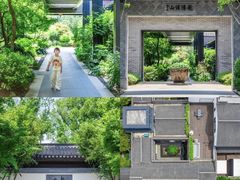 -宜兴龙背山森林公园