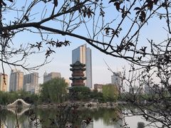 -迎泽公园