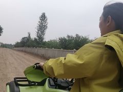 -庐灶江南·江南菜·四合院Bistro(东直门雍和宫·原华侨宾馆店)