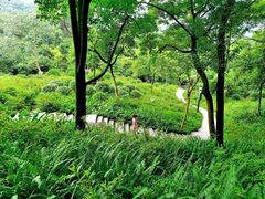 -广州市白云山风景名胜区