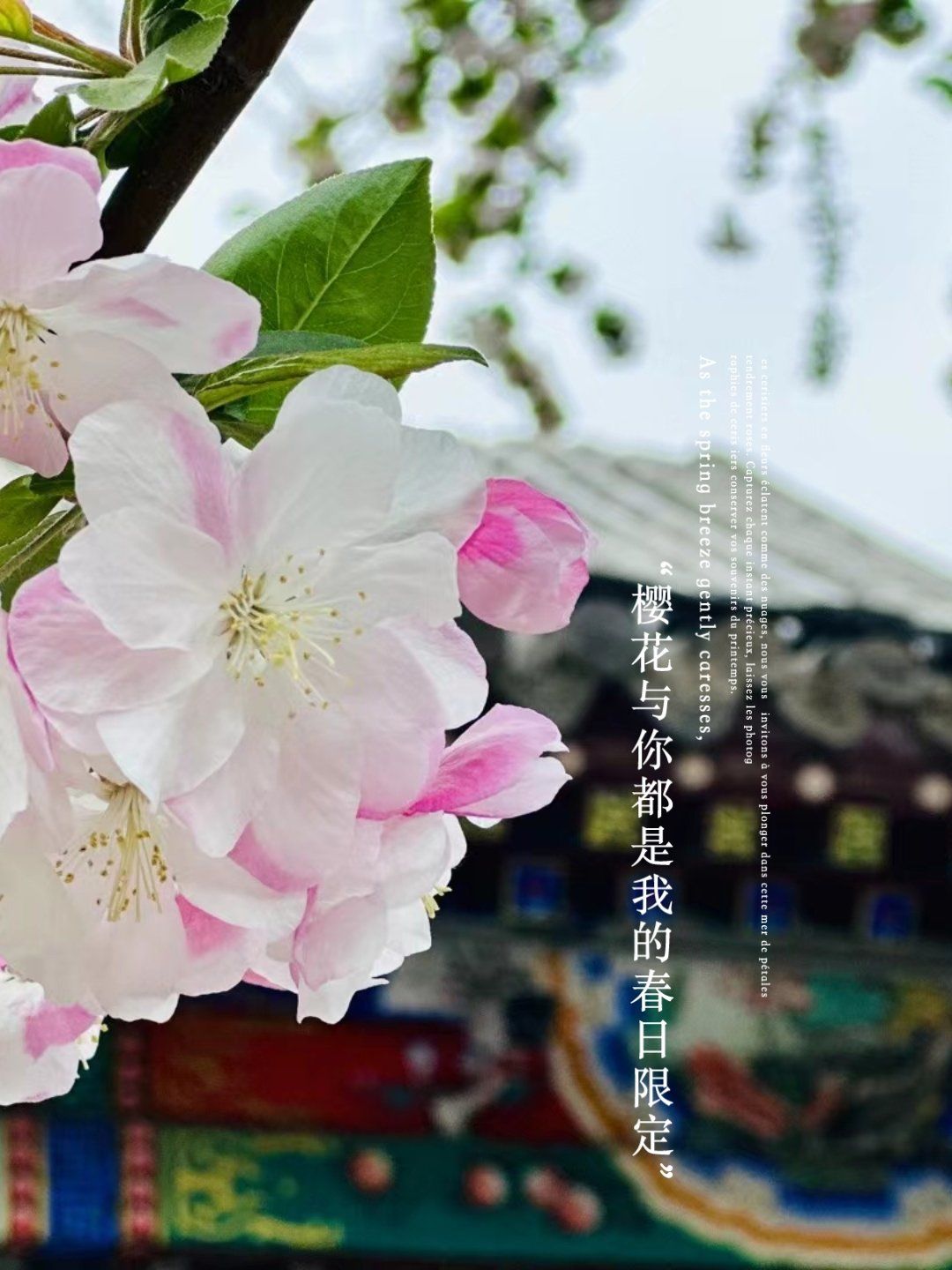 中
所描绘的"荣国府"设计和建造的
在荣国府取景的有电视剧《红楼