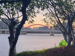 -五缘湾湿地公园