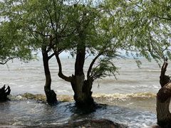-捞渔河湿地公园
