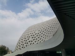 -金沙湖公园