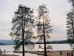 -四明湖
