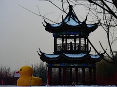 -兴芮温泉度假区