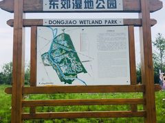-东郊湿地公园