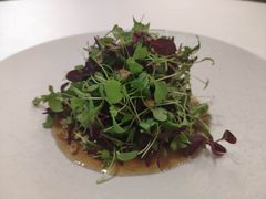 松仁菜苗-茗鼎汇(星方汇广场店)