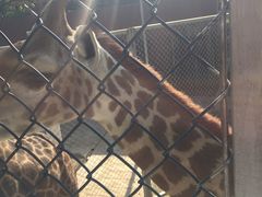 -荆州中山公园动物园