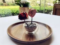 餐前点-福楼法餐厅FLO