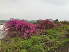 -喜运来温泉大酒店