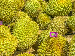 -AEON永旺(东方宝泰店)