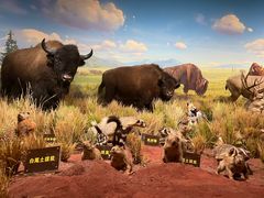 -陕西自然博物馆