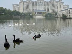 -龙熙维景国际会议中心
