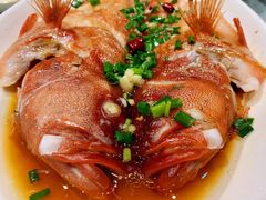 东星斑-渔满仓海鲜渔家(象山二店)