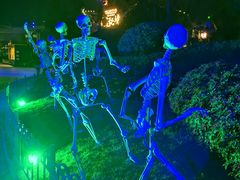 -七彩云南欢乐世界