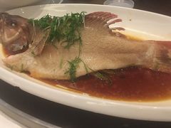 -厦门威斯汀酒店