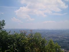 -杭州半山国家森林公园