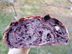 桑葚接骨木-Juicy Bakery(大学路店)