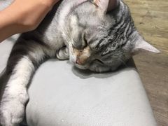 -小时光咖啡馆(开森度假森林店)