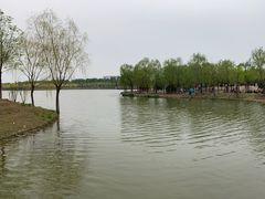 -东郊湿地公园
