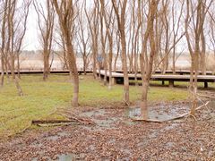 -鱼嘴湿地公园