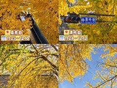 -北山街历史文化街区