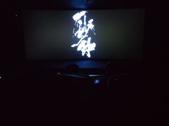 -深影国际影城(学院南路店CGS中国巨幕店)
