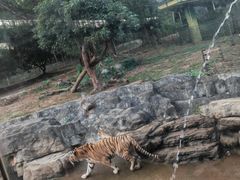 -深圳野生动物园