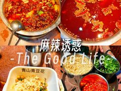 -青山青豆花·笑禅豆腐鱼(黄泥塝店)