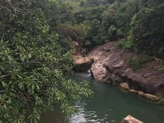 -广州白江湖森林公园