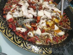 -金三可市井水煮鱼(金碧园店)