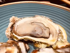 -海食焗(新光天地店)