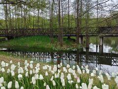 -杭州植物园