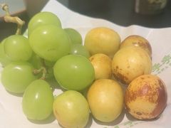 -季季山·云南野生菌火锅(上海首店)